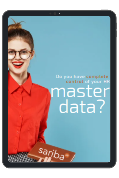 masterdata_engelsk