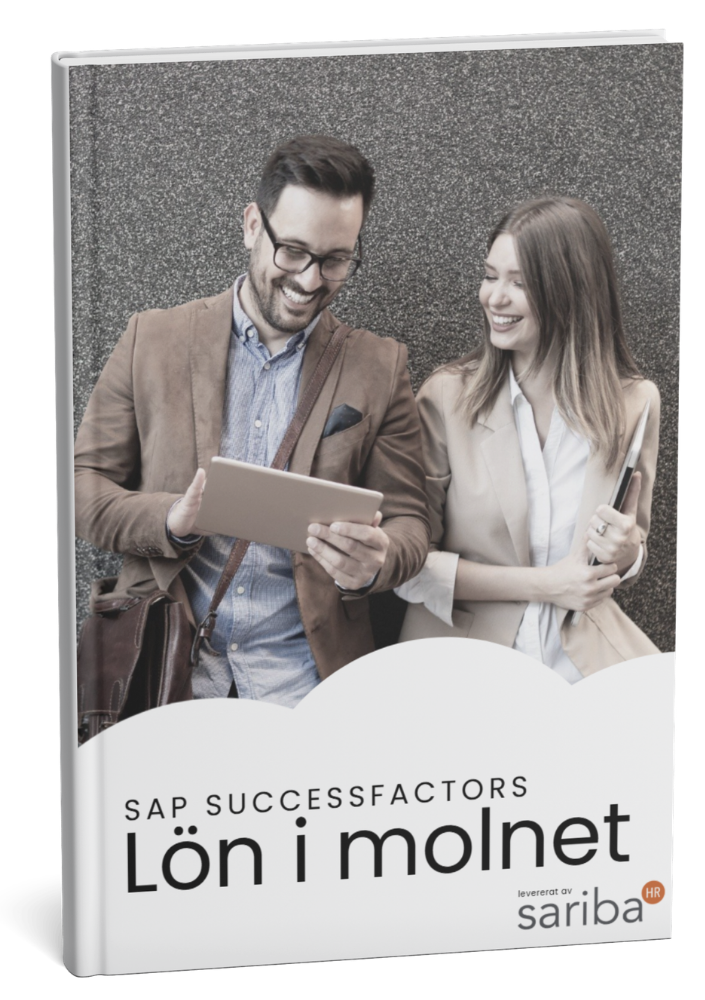 svensk lønn i skyen (1)
